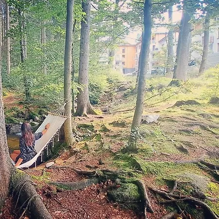 아파트 Nad Zlotym Potokiem