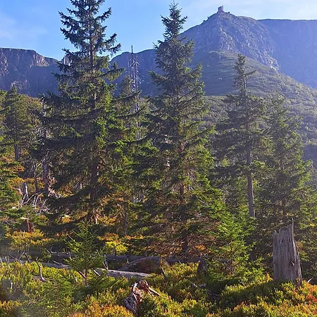 Nad Zlotym Potokiem 스클라르스카포렘바