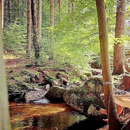 Апартаменты Nad Zlotym Potokiem Шклярска-Поремба