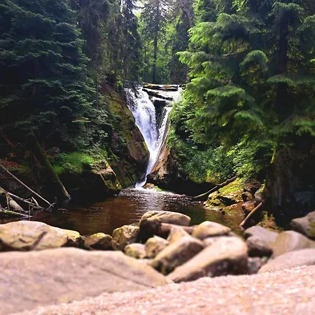 Nad Zlotym Potokiem Апартаменты