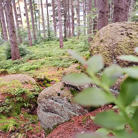 Nad Zlotym Potokiem Апартаменты