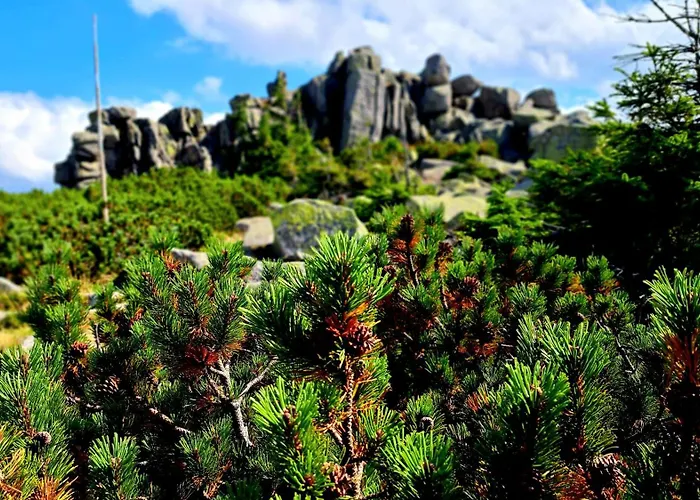 Апартаменты Nad Zlotym Potokiem Шклярска-Поремба