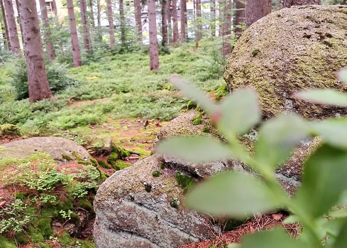 Nad Zlotym Potokiem Апартаменты