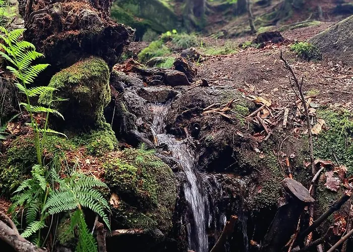 Nad Zlotym Potokiem Апартаменты *